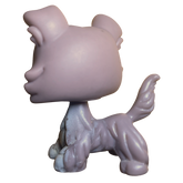#0067 Collie
